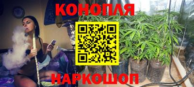 крисы Гатчина