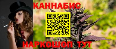 крисы Гатчина
