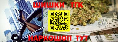 спиды Гагарин
