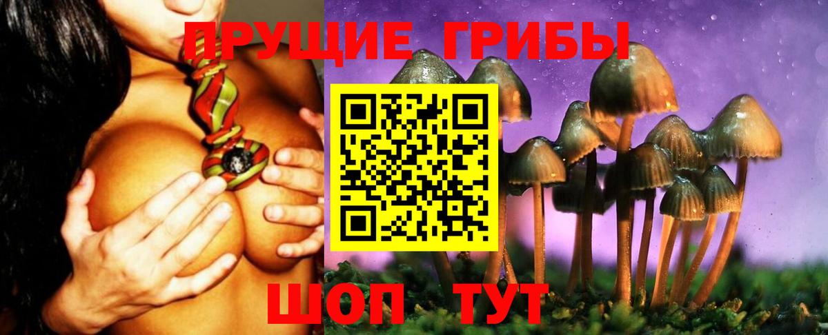как найти наркотики  Вход с VPN  Галлюциногенные грибы мухоморы  Мценск  Псилоцибиновые грибы ЛСД 